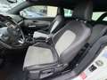 Volkswagen Scirocco 1,4 TSI BMT PICKERL NEU  KETTE NEU Weiß - thumbnail 8