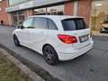 Mercedes-Benz B 200 B 200 be Executive Bianco - thumbnail 5