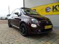 Fiat 500 Sport Cabrio Paars - thumbnail 2