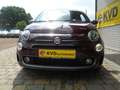 Fiat 500 Sport Cabrio Paars - thumbnail 3