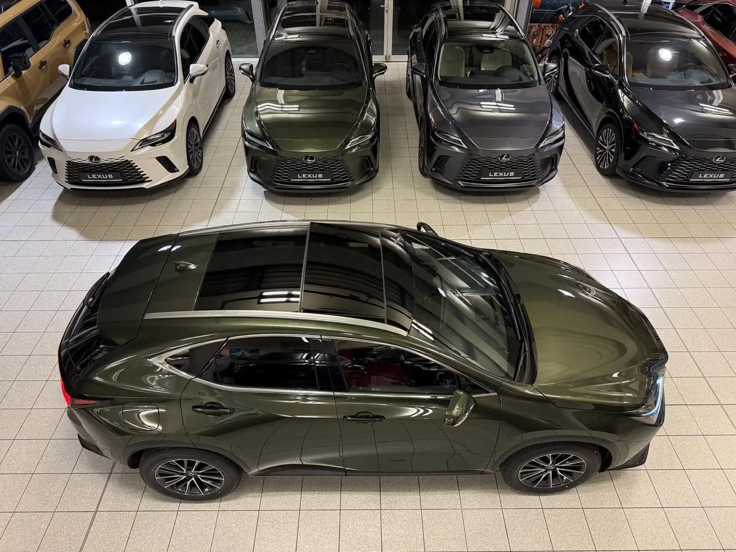 Lexus NX 450h 4 WD-EXECUTIVE-360 KAM.-PANORMA-48.990- Grün - 2
