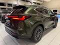 Lexus NX 450h 4 WD-EXECUTIVE-360 KAM.-PANORMA-48.990- Vert - thumbnail 8