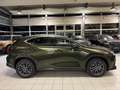 Lexus NX 450h 4 WD-EXECUTIVE-360 KAM.-PANORMA-48.990- Vert - thumbnail 9