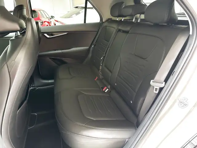 Kia E-Niro view 15