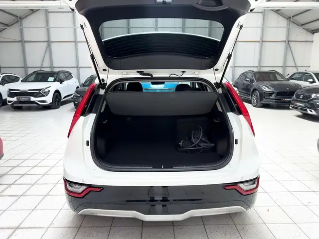 Kia E-Niro view 6