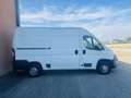Citroen Jumper Blanc - thumbnail 4