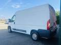 Citroen Jumper Blanc - thumbnail 6