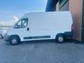 Citroen Jumper Blanc - thumbnail 7