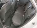 Ford Puma Titanium 5-türig 1,0L Ecoboost Hybrid 125PS M FWD Wit - thumbnail 6
