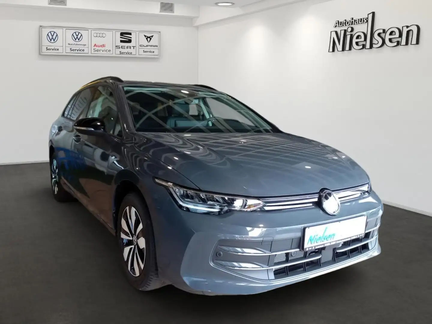 Volkswagen Golf Variant Goal Grau - 2