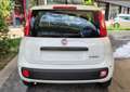 Fiat Panda Panda 1.0 FireFly S&S Hybrid Bianco - thumbnail 5