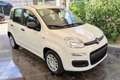 Fiat Panda Panda 1.0 FireFly S&S Hybrid Bianco - thumbnail 3