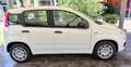 Fiat Panda Panda 1.0 FireFly S&S Hybrid Bianco - thumbnail 4