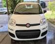 Fiat Panda Panda 1.0 FireFly S&S Hybrid Bianco - thumbnail 7