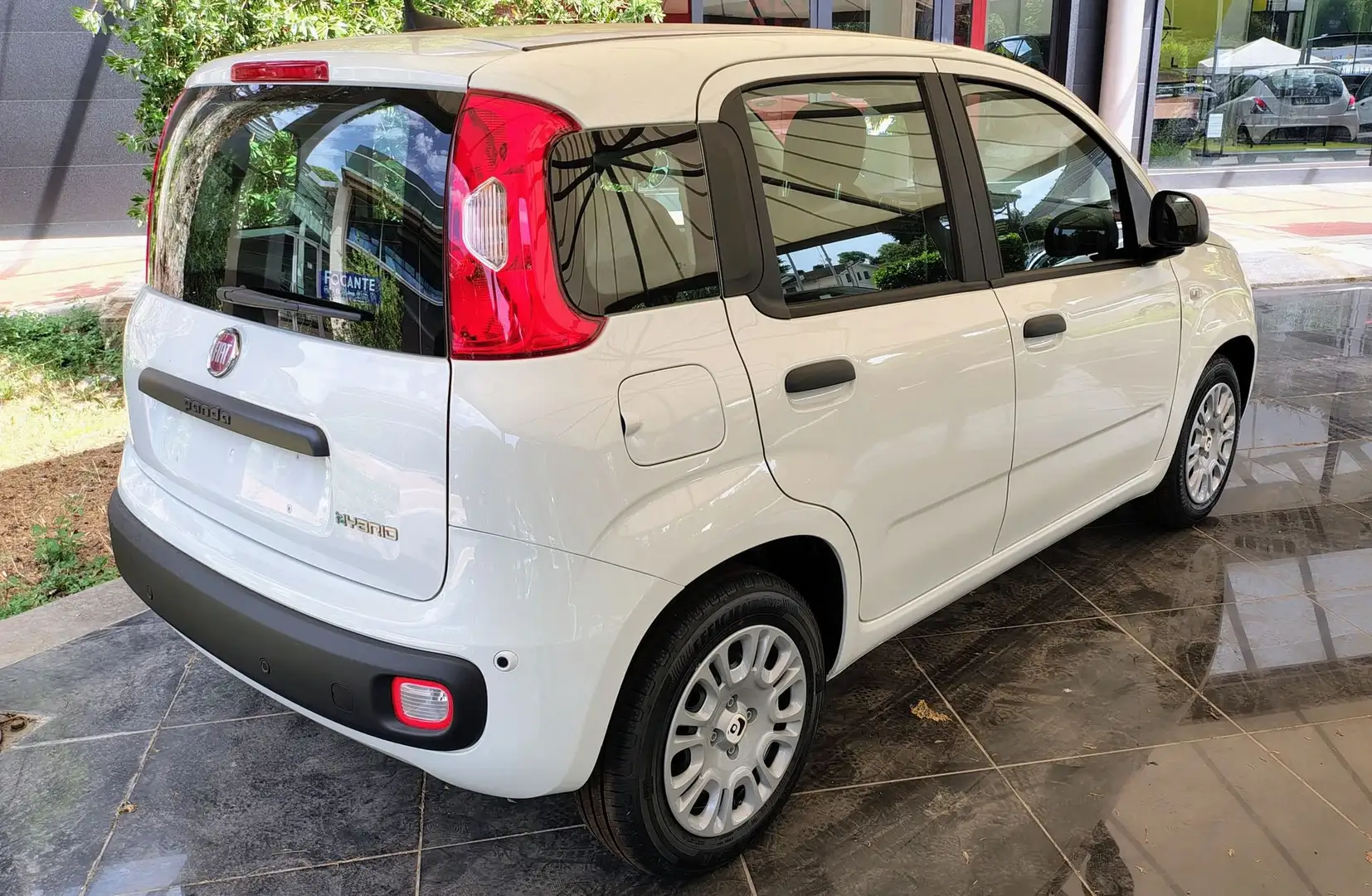Fiat Panda Panda 1.0 FireFly S&S Hybrid Bianco - 2