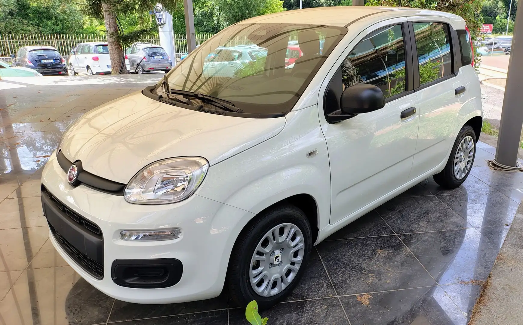 Fiat Panda Panda 1.0 FireFly S&S Hybrid Bianco - 1