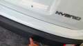 Fiat Panda Panda 1.0 FireFly S&S Hybrid Bianco - thumbnail 9