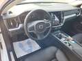 Volvo V60 d 197cv mhev geartronic b4 Momentum Business pro Bianco - thumbnail 7