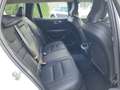 Volvo V60 d 197cv mhev geartronic b4 Momentum Business pro Bianco - thumbnail 10