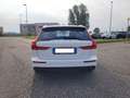 Volvo V60 d 197cv mhev geartronic b4 Momentum Business pro Bianco - thumbnail 5