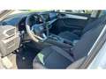 SEAT Leon FR 1.5 eTSI 150PS AUTOMATIK+LED+PDC+KLIMA Blanc - thumbnail 9