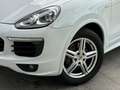 Porsche Cayenne Diesel Aut. Blanc - thumbnail 25
