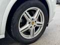 Porsche Cayenne Diesel Aut. Blanc - thumbnail 19