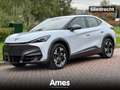 CUPRA Tavascan 82kWh 286pk Essential | 15'' infotainment | Dodeho Blanc - thumbnail 1