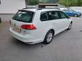 Volkswagen Golf Variant Rabbit 1,2 TSI Weiß - thumbnail 5