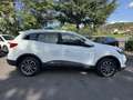 Renault Kadjar 1.5 blue dci Business 115cv Bianco - thumbnail 4