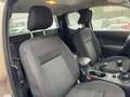 Ford Ranger 2.0 TDCi Super Cab XLT 4 posti Bronze - thumbnail 10