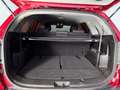 Kia Sorento 2.0 CRDi Drive 4x2 Burdeos - thumbnail 27