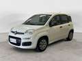 Fiat Panda 1.2 Easy Blanc - thumbnail 3