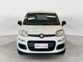 Fiat Panda 1.2 Easy Blanc - thumbnail 2