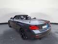 BMW 240 xDrive Steptronic Cabrio Navi Prof. PDC Gris - thumbnail 13