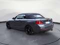 BMW 240 xDrive Steptronic Cabrio Navi Prof. PDC Gris - thumbnail 4