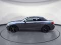BMW 240 xDrive Steptronic Cabrio Navi Prof. PDC Gris - thumbnail 3
