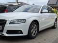 Audi A4 Avant 1.8 TFSI Ambiente Weiß - thumbnail 3