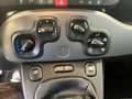 Fiat Panda Panda III 2021 1.0 firefly hybrid City Life 5posti Gris - thumbnail 15