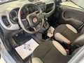 Fiat Panda Panda III 2021 1.0 firefly hybrid City Life 5posti Gris - thumbnail 13