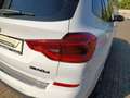 BMW X3 M 40d M SPORT+PANORAMA+20"ALU+AHK+HEAD UP DAB Weiß - thumbnail 13