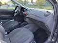 SEAT Ibiza - thumbnail 16