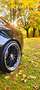 Audi A5 A5 Coupé 3,0 TDI V6 quattro DPF Schwarz - thumbnail 16