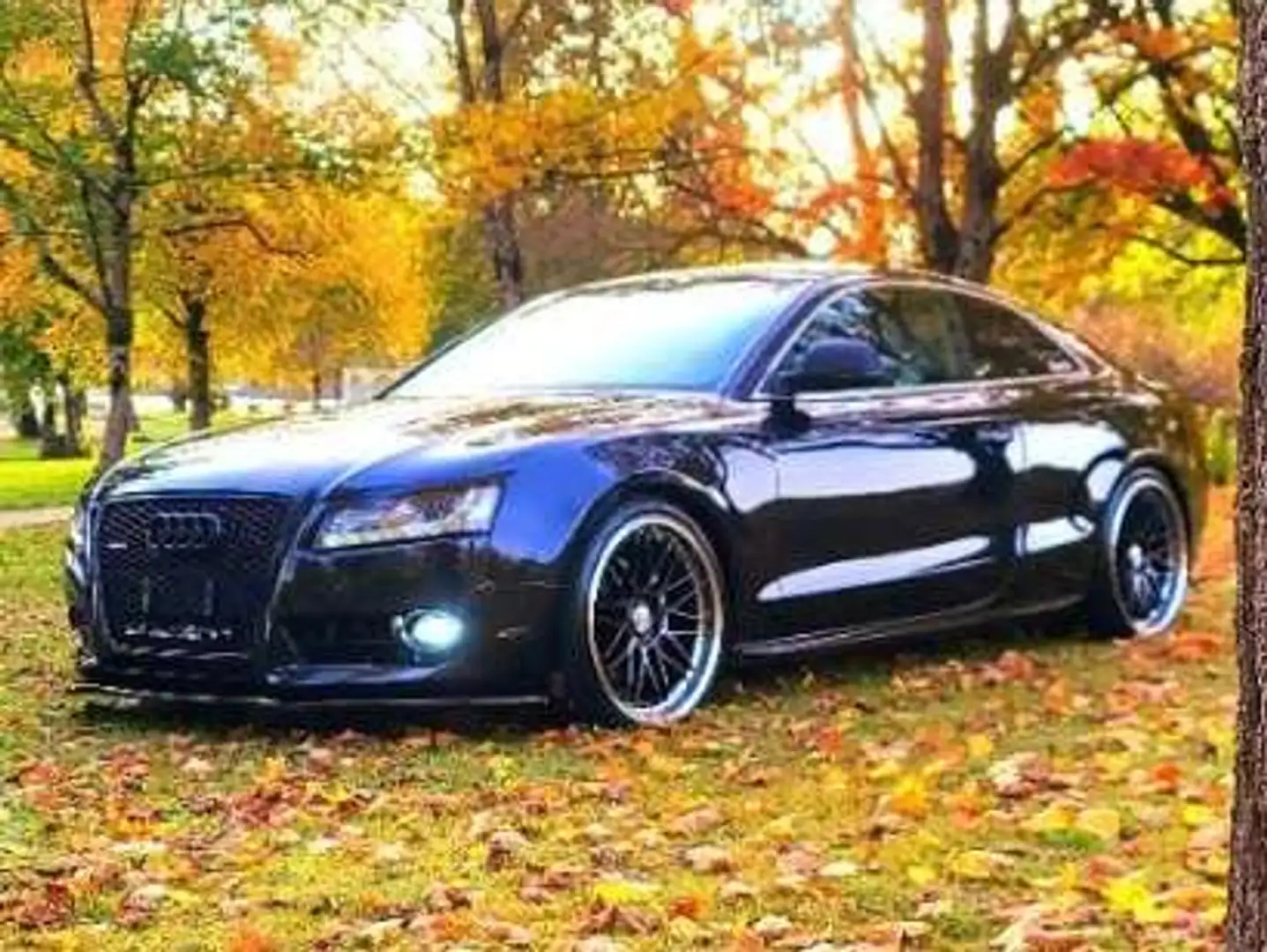Audi A5 A5 Coupé 3,0 TDI V6 quattro DPF Schwarz - 2