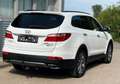 Hyundai Grand Santa Fe Premium 4WD LEDER NAVI PANO XENON Bianco - thumbnail 8