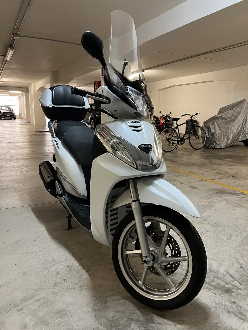 Honda SH 300 Edizione Blauer - 1