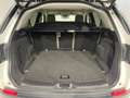 Land Rover Discovery Sport SE 163cv IVA ESPOSTA Bianco - thumbnail 11