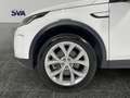 Land Rover Discovery Sport SE 163cv IVA ESPOSTA Bianco - thumbnail 10