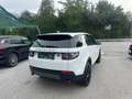 Land Rover Discovery Sport SE AWD Weiß - thumbnail 13