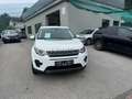Land Rover Discovery Sport SE AWD Weiß - thumbnail 6